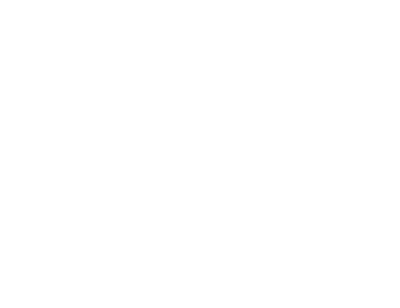 Siteecommerce-optimize
