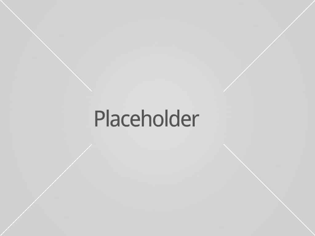 placeholder-portfolio